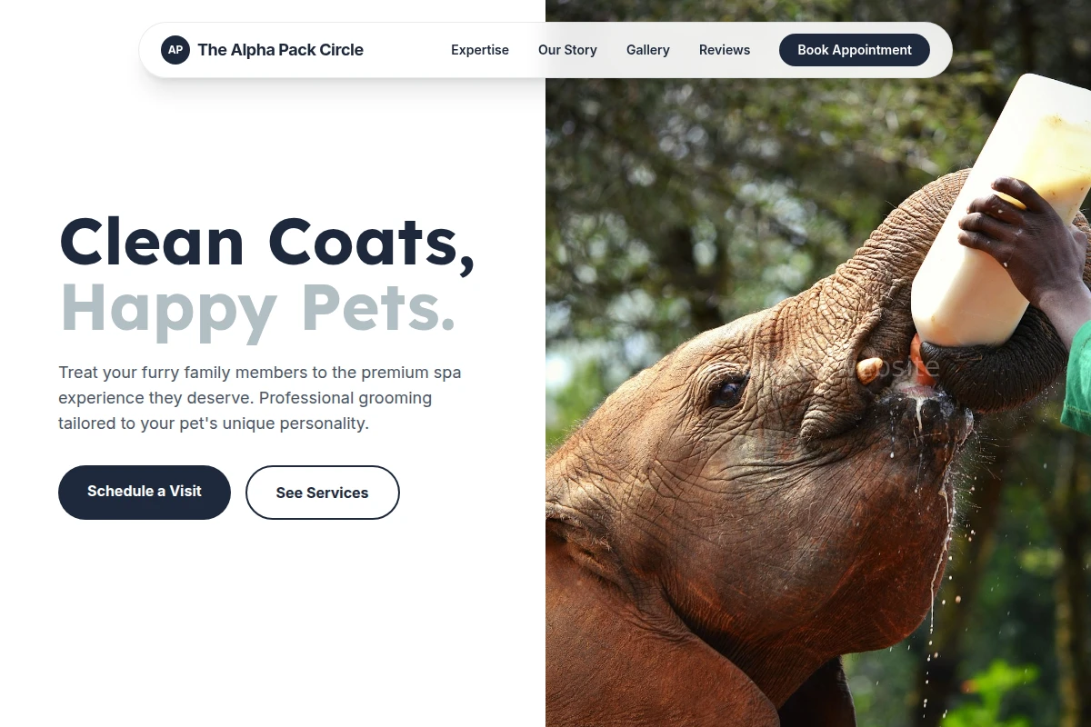 Scissor Animal Care