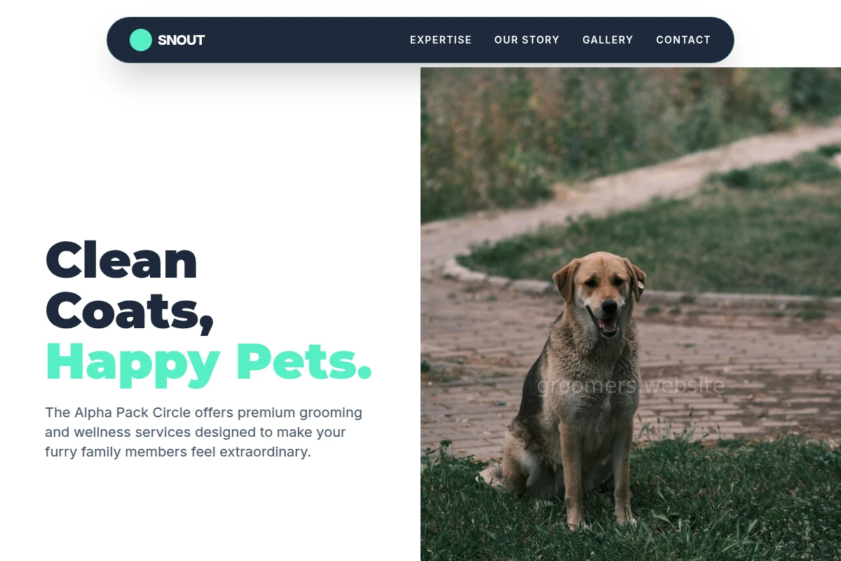 Snout Animal Care