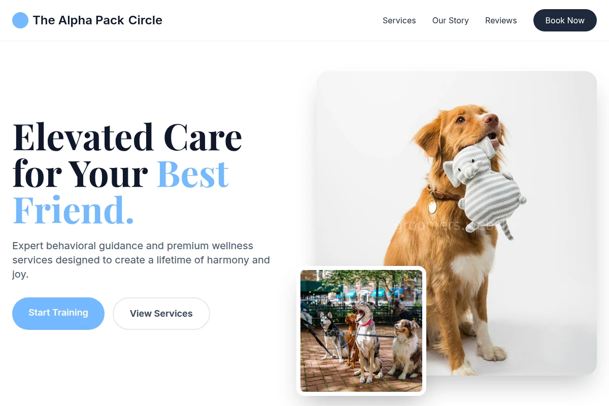 Shine Dog Training