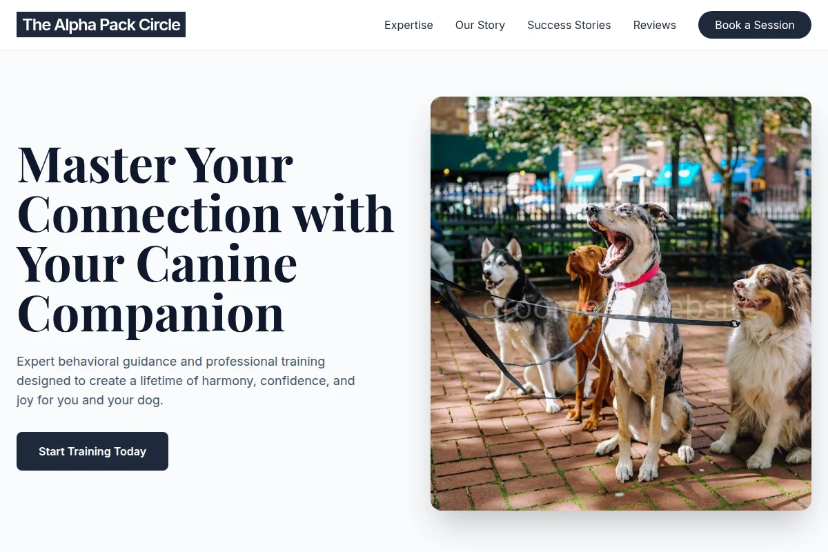 dog-training