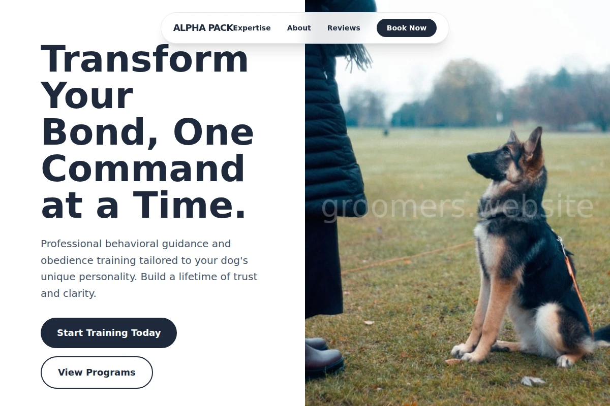 Paws Dog Training