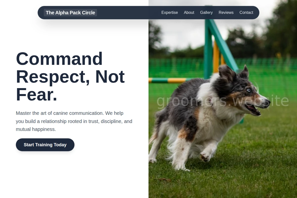 Collar Dog Training