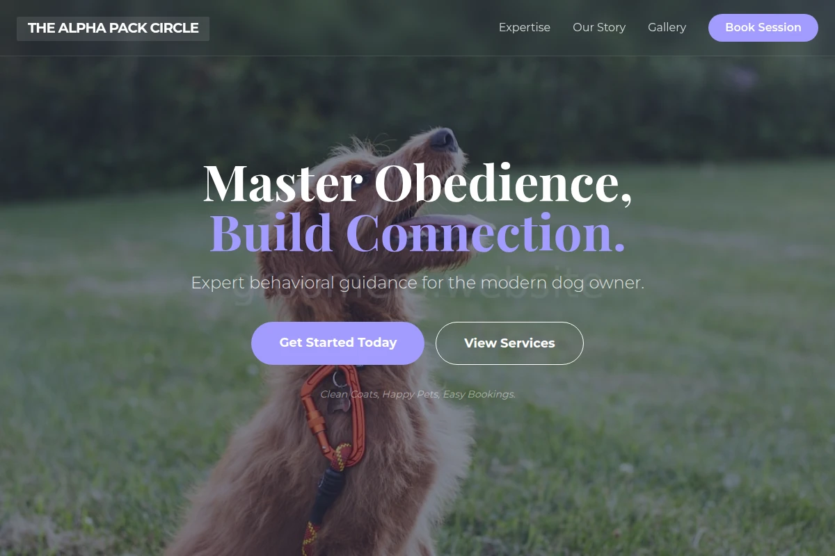 Shine Dog Training