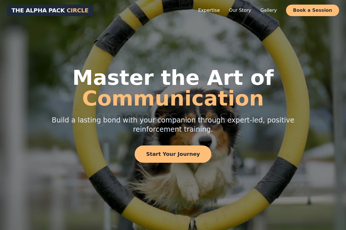 Collar Dog Training