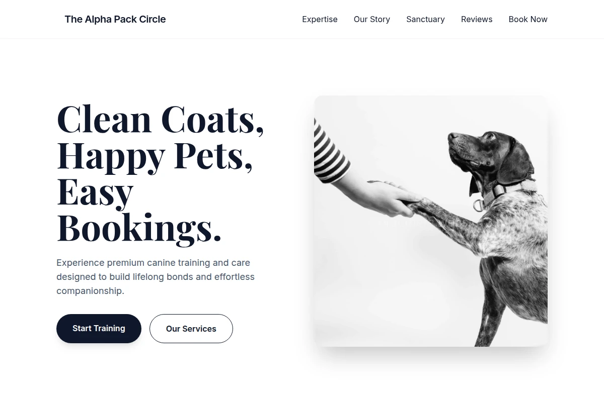 Collar Dog Training