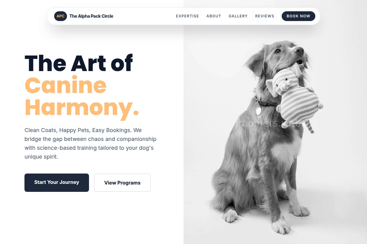 Expert Dog Training