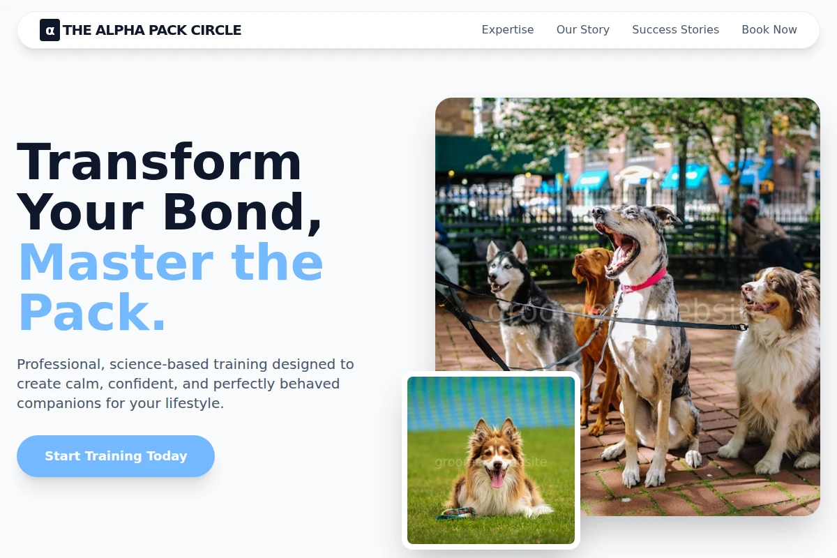 Clean Dog Training