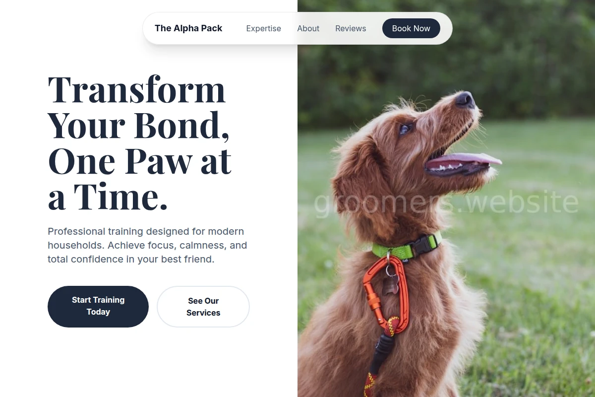 Local Dog Training