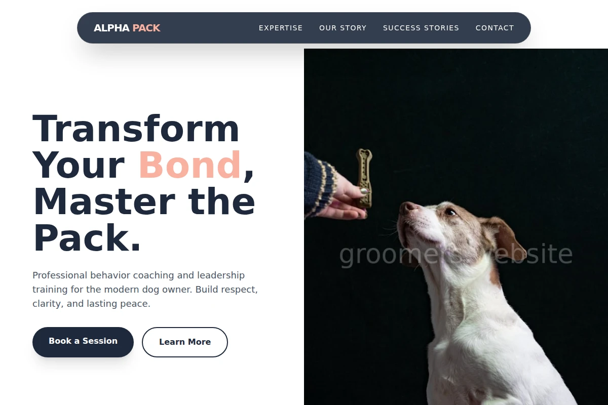 Shine Dog Training
