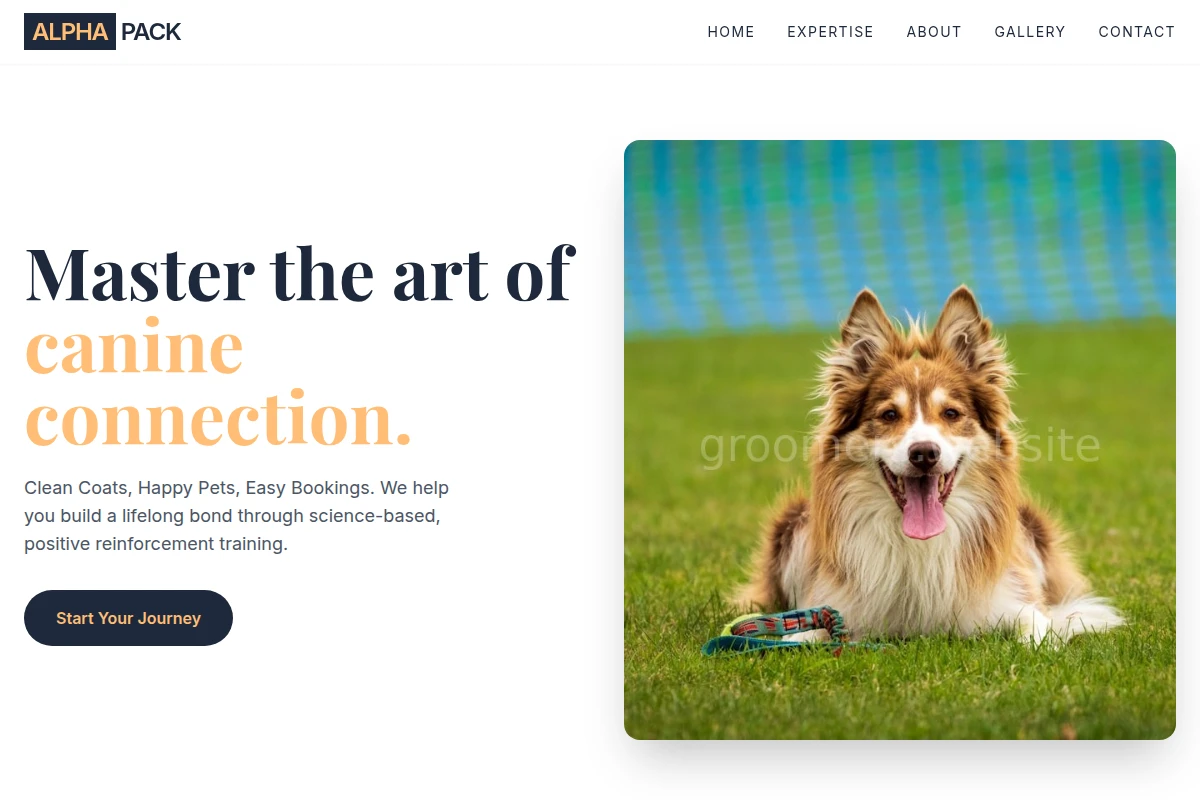 Bark Dog Training