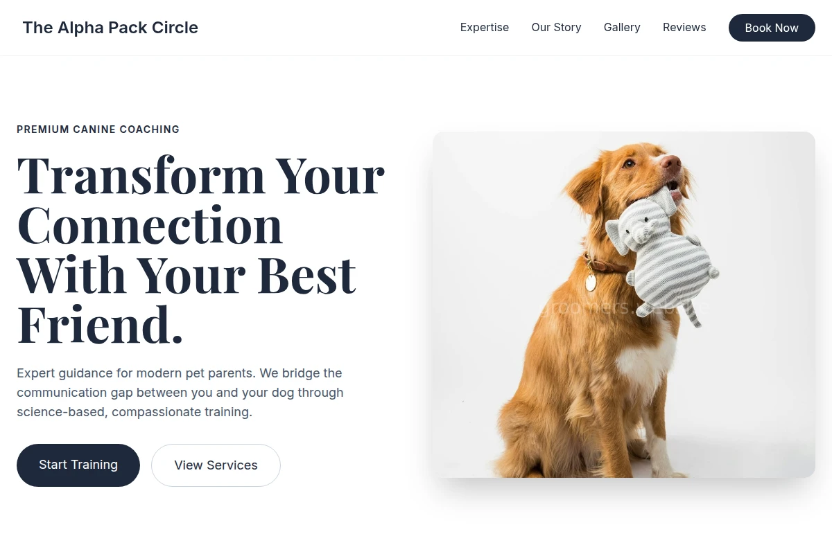 Expert Dog Training