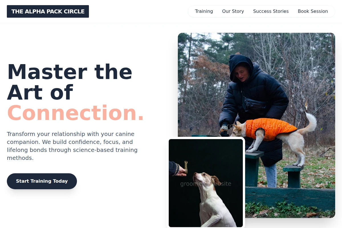 Collar Dog Training