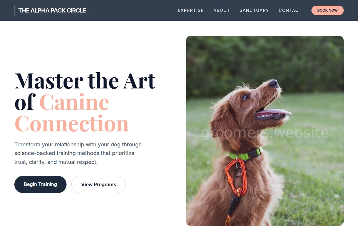 Spaw Dog Training