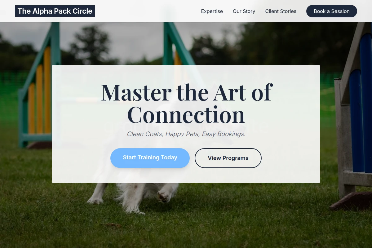 Professional Dog Training