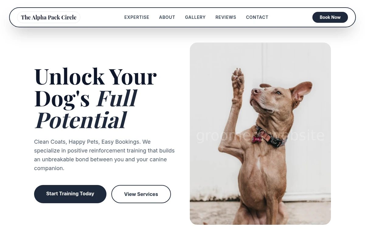 Brush Dog Training