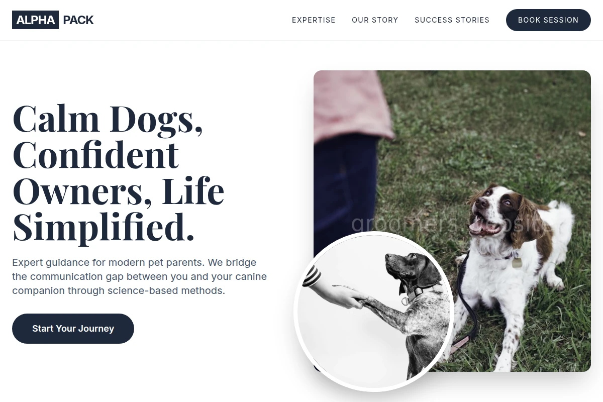 Spaw Dog Training