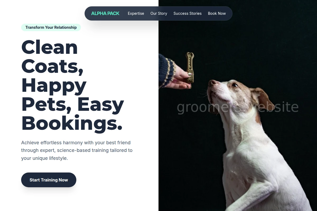 Professional Dog Training