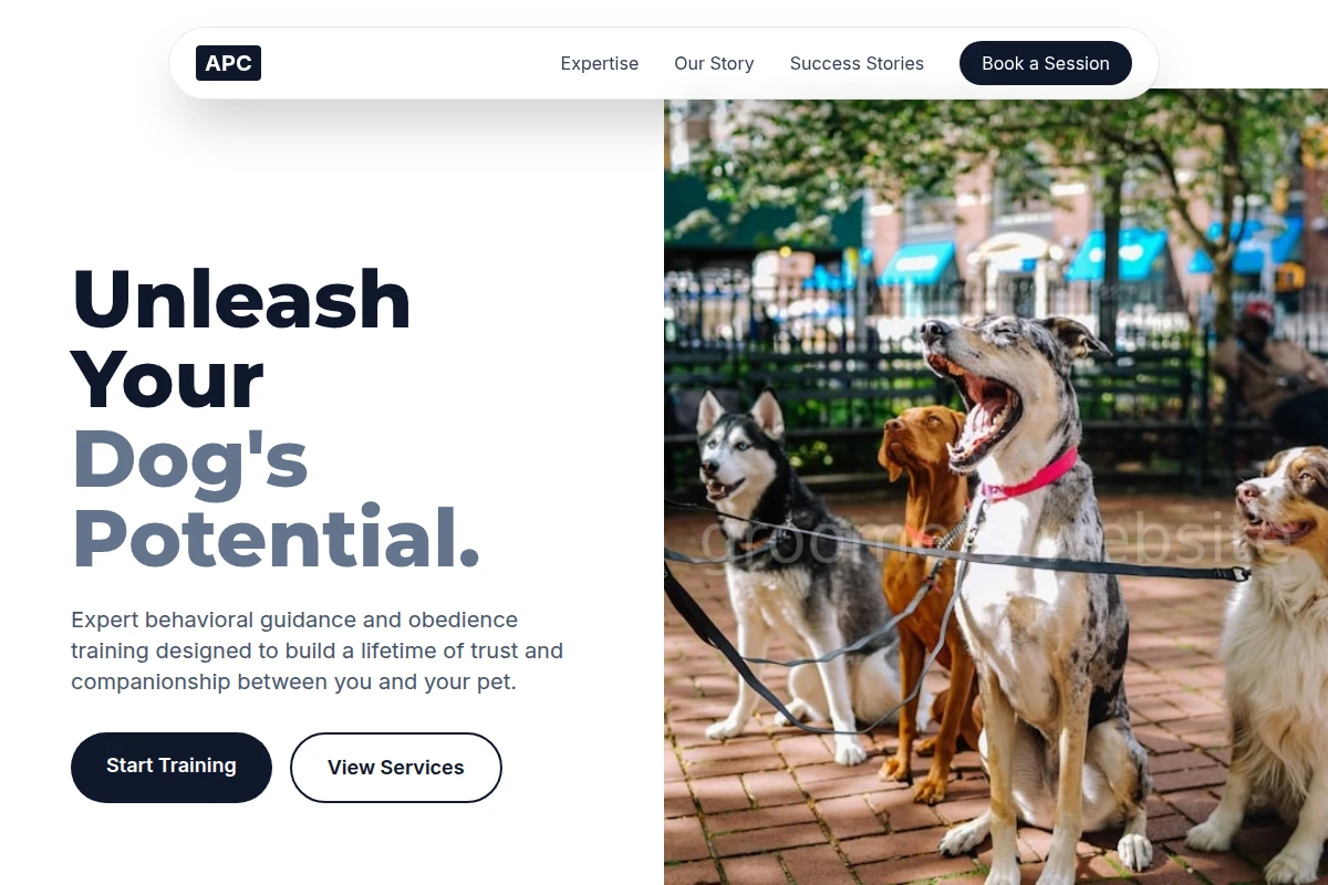 Bark Dog Training