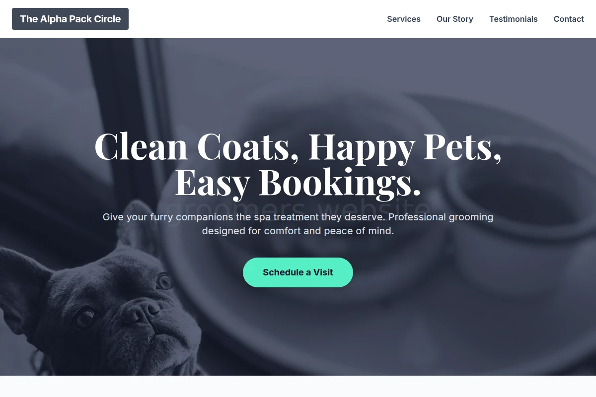Snout Pet Services