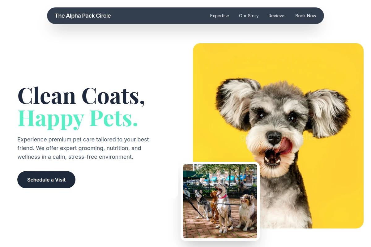 Shine Pet Shop