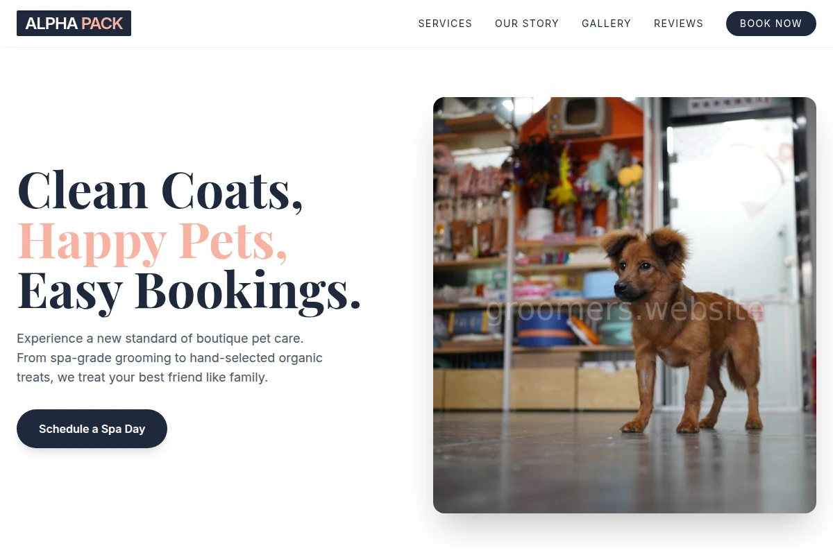 Boutique Pet Shop